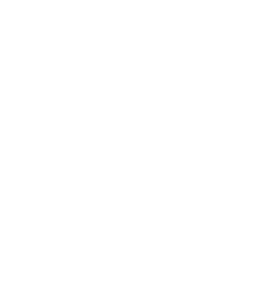 MEDILIT process all data locally