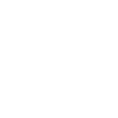 MEDILIT Medical AI Scribe